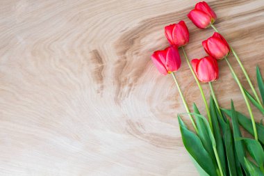 Açık ahşap zemin üzerinde kırmızı laleler