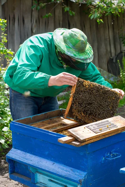 Beekeeper Holding Frame Honeycomb Bees — Stock Photo, Image