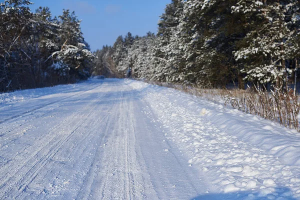 Neve Estrada Coberta Cercada Por Árvores Dia Inverno Claro — Fotografia de Stock