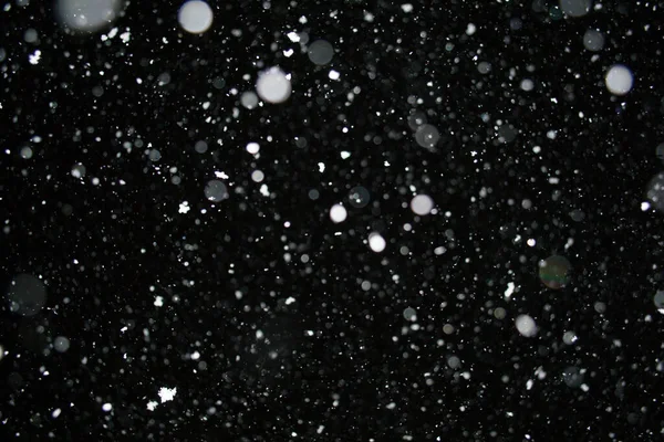 Photo Dense Snow Falling Night Beautiful Background — Stock Photo, Image