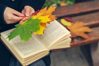 Sonbaharda elinde akçaağaç yaprakları ve parkta kitap tutan siyah paltolu bir kız.