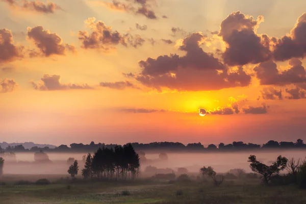 Der Himmel Bei Sonnenaufgang Dichter Nebel Morgen Auf Der Wiese — Stockfoto