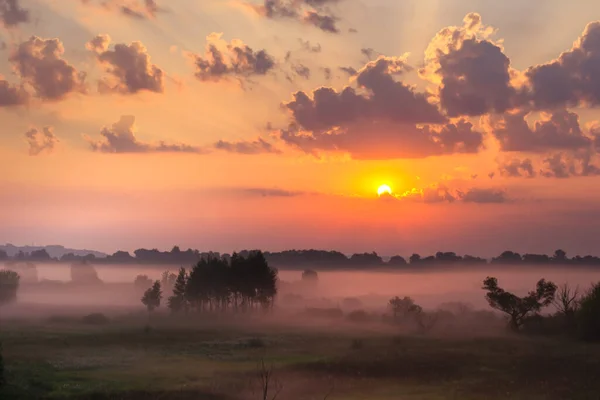 Ciel Lever Soleil Brouillard Dense Sur Prairie Matin — Photo