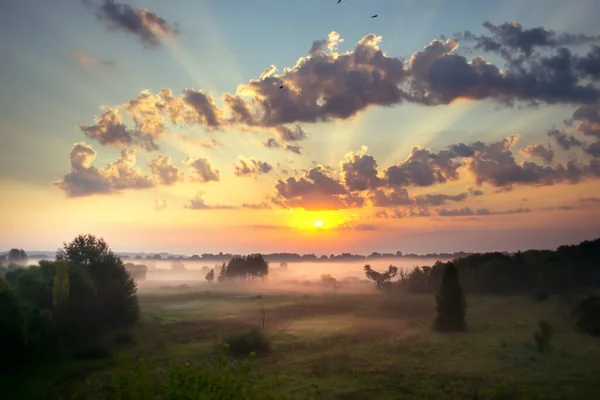 Ciel Lever Soleil Brouillard Dense Sur Prairie Matin — Photo