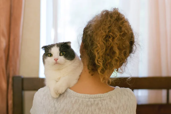 Menina Segurando Gato Seu Ombro — Fotografia de Stock