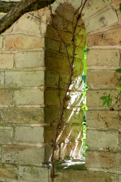 Taş Duvardaki Bir Pencere Bitkilerle Kaplıdır — Stok fotoğraf
