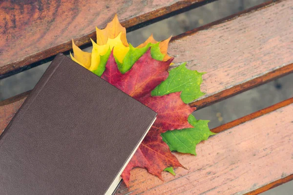 Book Colored Leaves Embedded Lies Bench Park Autumn — Stock Photo, Image