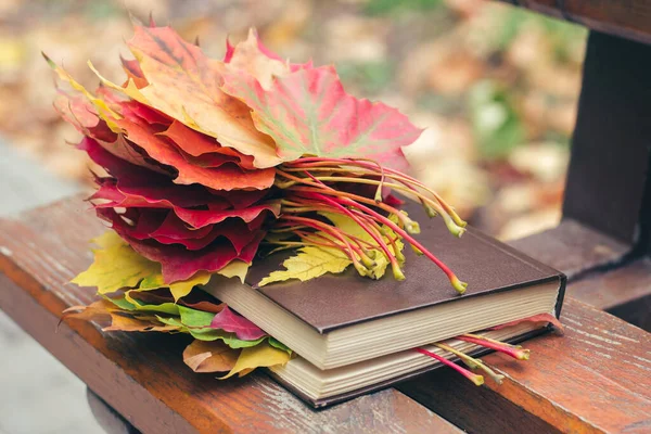 Książka Osadzonymi Niej Kolorowymi Liśćmi Leży Ławce Parku Jesienią — Zdjęcie stockowe