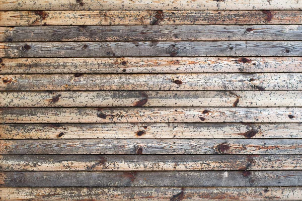 Oude Kleine Houten Planken Opgegeten Door Scheepsworm — Stockfoto