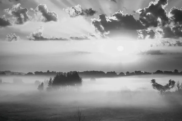 Ciel Lever Soleil Brouillard Dense Sur Prairie Matin Photo Noir — Photo