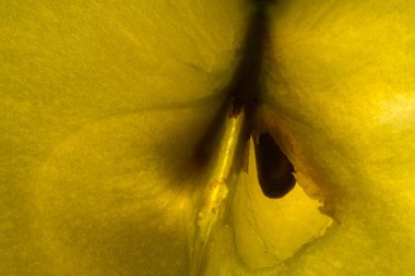 Işığın geçtiği elmayı kes makro, yakın plan.