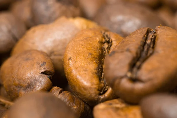 中程度の焙煎 クローズアップ 食感のコーヒー豆の写真 — ストック写真