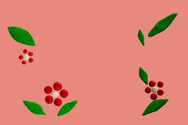 Pembe arka planda izole edilmiş plastikten broşürler ve çiçekler.