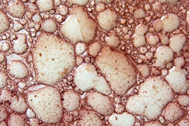 Farklı boyutlarda, arka planda kurumuş kırmızı baloncukların fotoğrafı