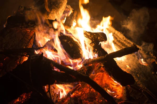 Fényesen Égő Faágak Tűzben Éjszaka Közelkép — Stock Fotó