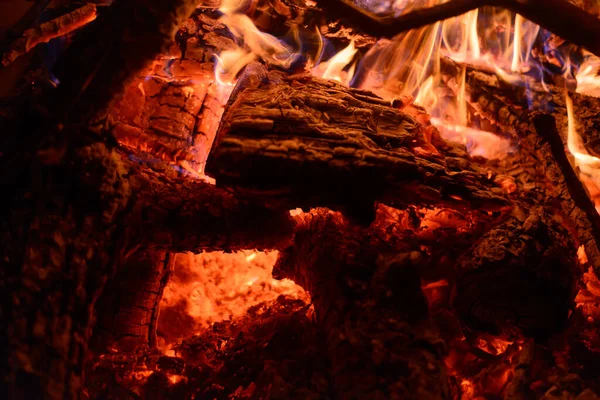 Fényesen Égő Faágak Tűzben Éjszaka Közelkép — Stock Fotó
