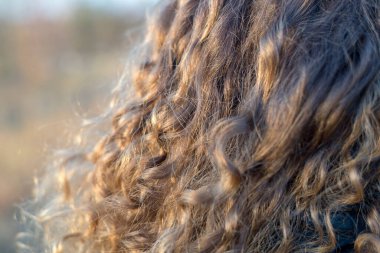 Kıvırcık saçlı, kıvırcık saçlı, yakın plan bir fotoğraf.