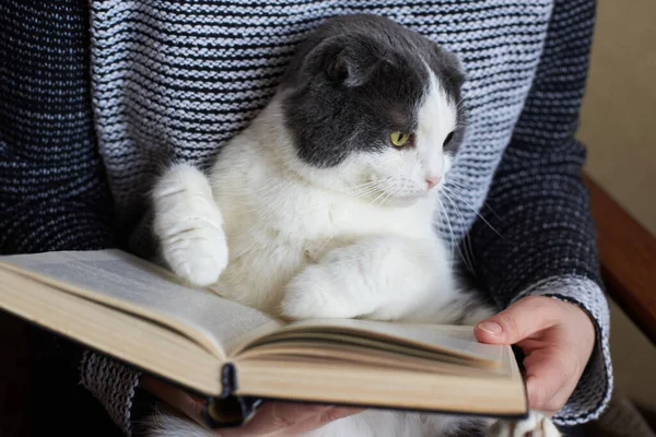 Menina Está Lendo Livro Segurando Gato Grande Bonito — Fotografia de Stock