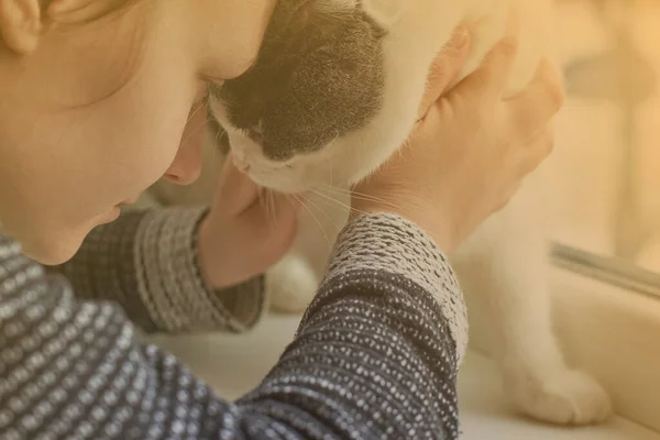 Menina Abraça Seu Gato Bonito Close Tonificado Tema Amizade Com — Fotografia de Stock