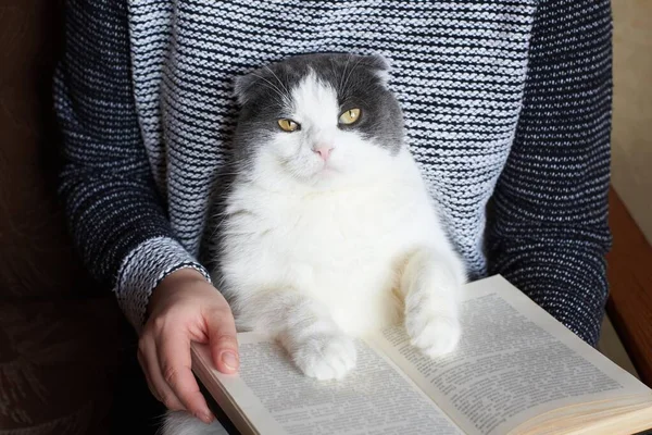 Menina Está Lendo Livro Segurando Gato Grande Bonito — Fotografia de Stock