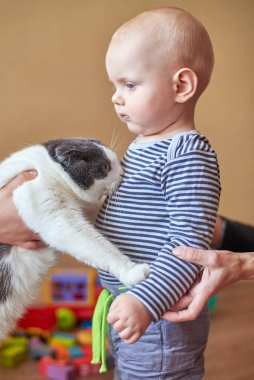 Anne kediyi küçük oğluyla tanıştırır, çocuk hayvandan korkar.