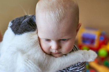 Sevimli küçük çocuk büyük bir kediye sarılıyor, yakından.