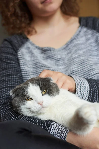 Žena Teplém Svetru Hladí Roztomilou Kočku Zblízka — Stock fotografie