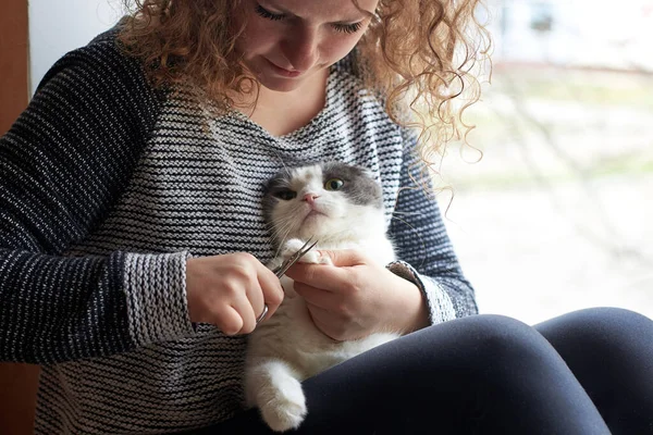 Μια Γυναίκα Κόβει Νύχια Μιας Χαριτωμένης Γάτας Ψαλίδι Νυχιών Φροντίδα — Φωτογραφία Αρχείου