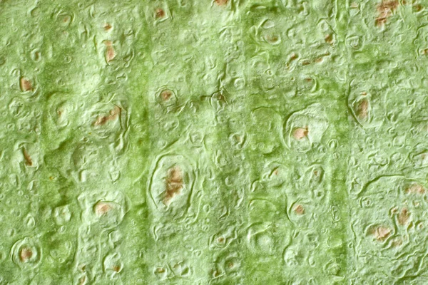Textur Der Hefefreien Flavonoide Unter Zusatz Von Spinat Hellgrüne Farbe — Stockfoto
