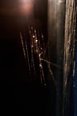 Ağ üzerinde su damlacıklarından geçen ışık, odak dışı fotoğraf, sihirli arka plan