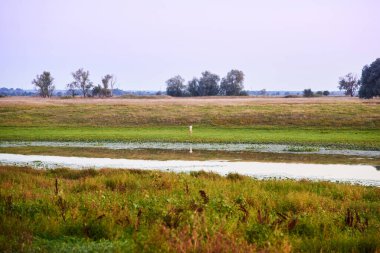 Adam gün batımından sonra öğütülmüş nehrin yanındaki çimenli çayırda yürüyor..