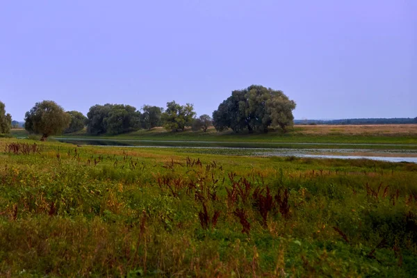 Prairie Herbeuse Près Rivière Déchiquetée Dans Soirée Après Coucher Soleil — Photo