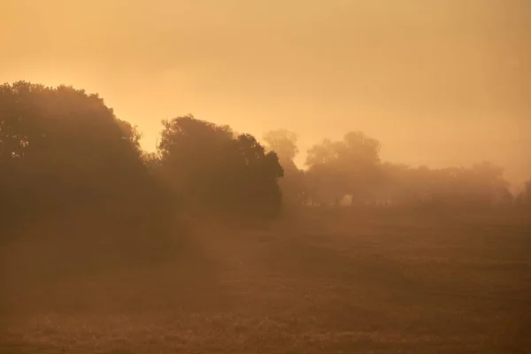 Cielo All Alba Fitta Nebbia Sul Prato Mattino — Foto Stock