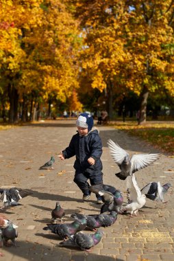 Tulumlu küçük bir çocuk ve sonbaharda parkta güvercinlerin arasında koşan komik bir şapka..