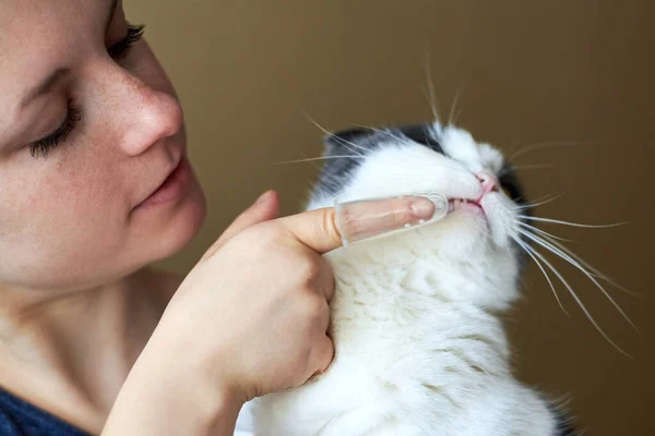 Woman brushes cat\'s teeth with a silicone toothbrush on her finger.