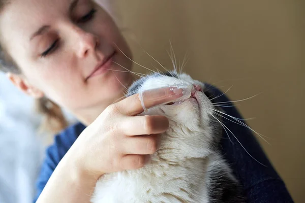 Mujer Cepilla Dientes Gato Con Cepillo Dientes Silicona Dedo — Foto de Stock