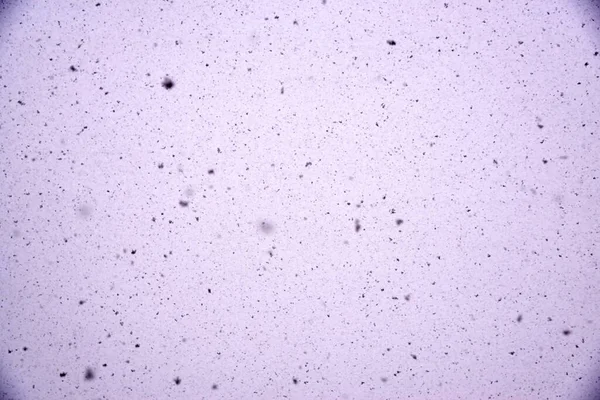 Dust and small debris on the camera matrix, close-up.