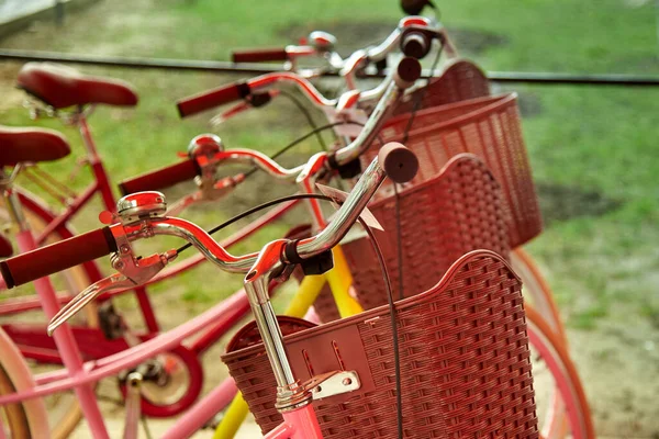 Pinkfarbene Fahrräder Mit Braunen Körben Stehen Einer Reihe Zum Verkauf — Stockfoto