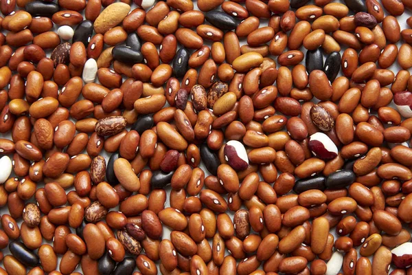 Background Different Types Beans Brown Black Spotted Beans Top View — Stock Photo, Image