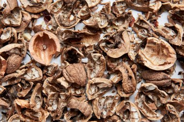 Olgun ceviz kabuğu, sağlıklı beslenme teması, vejetaryenlik, çiğ gıda diyeti..