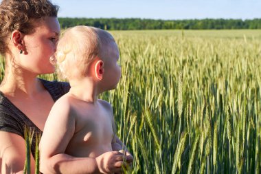 Anne oğlunu yazın bir buğday tarlasında tutuyor, doğanın keyfi için..