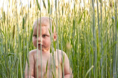 Sarışın, çıplak bir çocuk yazın dikenlerin arasında buğday tarlasında duruyor. Doğayla bağlantı teması:.