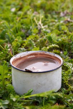 Çimlerin üzerinde kahve olan eski metal kupa, kamp konsepti..