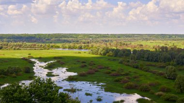 Yazın başında vadide küçük bir nehrin sızıntısı, güzel bir manzara..