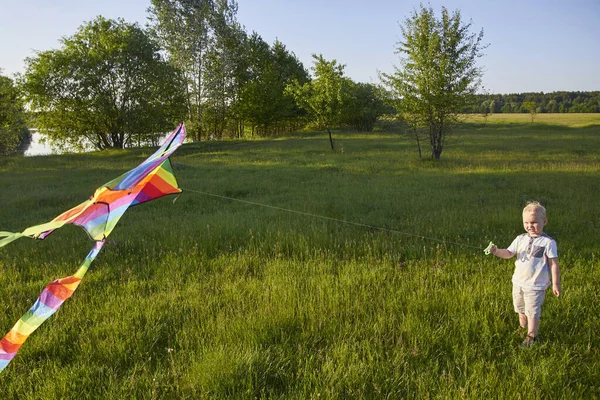 小男孩抱着风筝在绿色的草地上 夏天的快乐主题 — 图库照片