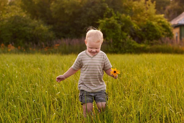 一个两岁的金发碧眼的男孩站在草地上 手里拿着一朵花 快乐的童年 — 图库照片