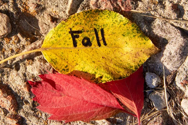 Inscription Fall Written Yellow Leaf Background Stones — Stock Photo, Image