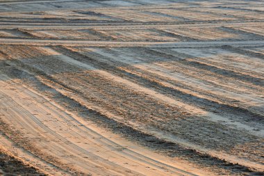 Kumsalda kum, gün doğumunda bir traktörle yerle bir oldu..