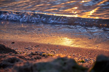 Şafakta deniz kenarında, ıslak kum, taşlar, güneş ışığı ve dalgalar.