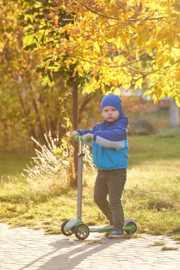 İki yaşında bir çocuk sonbaharda parkta scooter kullanıyor..